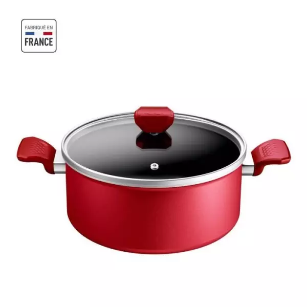 TEFAL Faitout 24 cm, Induction, Revetement antiadhésif, Couvercle verre, Ergonomique, Fabriqué en France, Daily Expert C289460