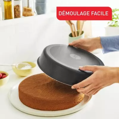 TEFAL Jungle Moule a cake 26 cm, Antiadhésif, Démoulage parfait, Dif