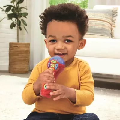 VTECH-BABY MICRO DES P'TITS LOULOUS