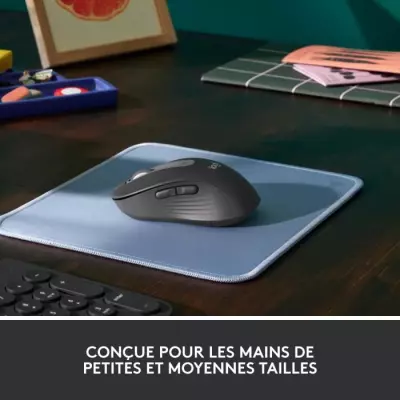 Souris - Sans fil - Logitech - M650 - Silencieuse - Graphite