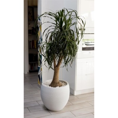 Pot de fleur EDA rond Graphit Ø50cm - Contenance 46L - Blanc cérusé