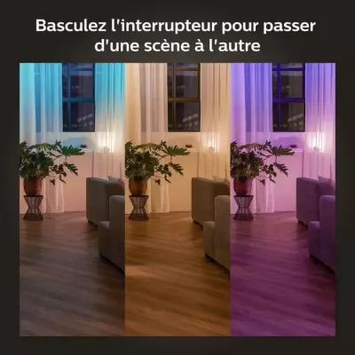 Module d'interrupteur mural - PHILIPS HUE - Pack de 2 - Blanc - Compat