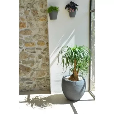 Pot de fleur rond Graphit Ø50cm - Contenance 46L - Gris anthracite