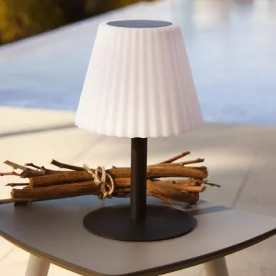 Lampe de table solaire 2 en 1 a planter ou a poser - LUMISKY - BOUFFAN