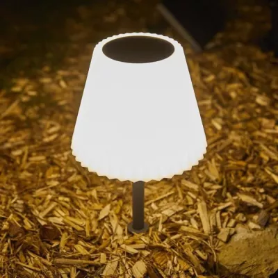 Lampe de table solaire 2 en 1 a planter ou a poser - LUMISKY - BOUFFAN