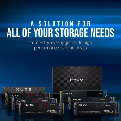 PNY - CS1030 - SSD - 500 Go - M.2 2280 - M280CS1030-500-RB