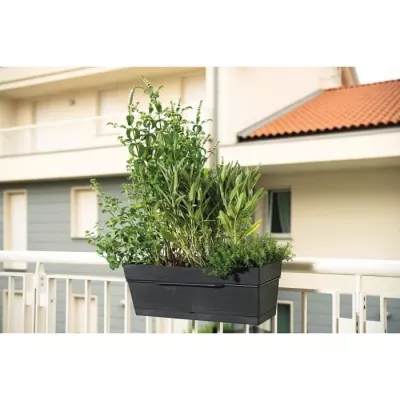 Jardinière DEROMA 10L Gris foncé - Kit Jardinière Save R