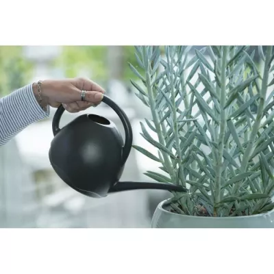 NATURE Watering can - Polyethylene - Charcoal gray - 1.8 L