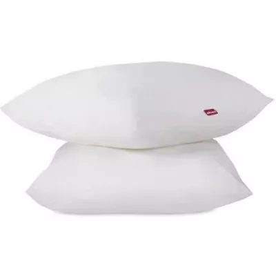 Oreillers Douceur ABEIL - Lot de 2 - 60x60 cm Blanc