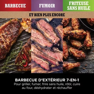 Grille-viande Ninja WOODFIRE - BARBECUE D'EXTERIEUR AVEC FUMOIR ELECTR