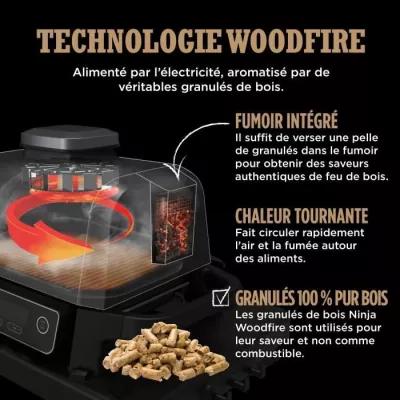 Grille-viande Ninja WOODFIRE - BARBECUE D'EXTERIEUR AVEC FUMOIR ELECTR