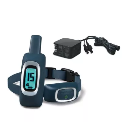 PetSafe - Collier de Dressage avec télécommande digitale pour 2 Chie