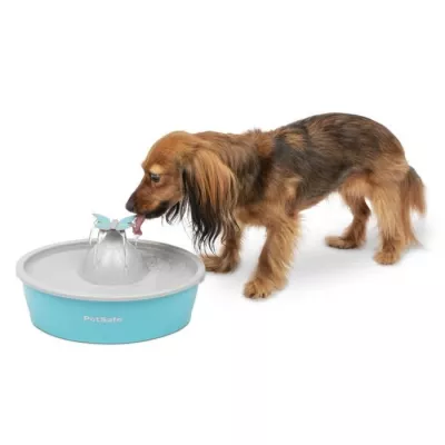 PetSafe - Fontaine a Eau Papillon pour chat et chien Drinkwell, 4 Diff