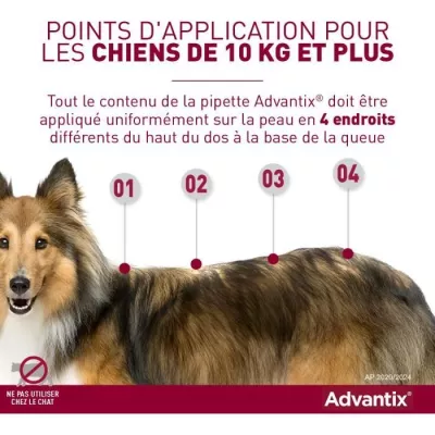 ADVANTIX Chien 40-60kg: Solution Antiparasitaire 6 pipettes