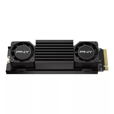 PNY SSD Interne CS3150 1TB M.2 NVMe avec dissipateur Noir - M280CS3150