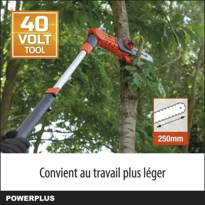 Dual Power Tronçonneuse Téléscopique a Batterie POWDPGSET42 - 40 V,