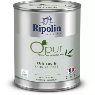 Peinture O'PUR murs, boiseries & radiateurs - RIPOLIN - 472827 - Gris