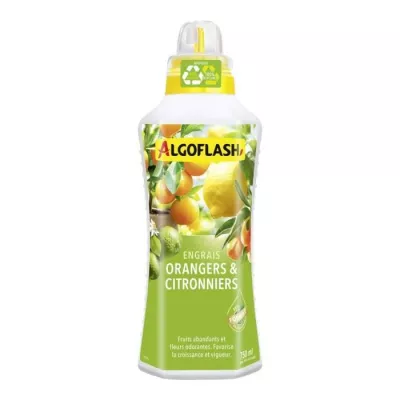 Engrais Orangers et Citronniers 750 mL - Boostez leur croissance!