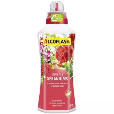 Engrais pour Géraniums et Fleurs de Balcon - ALGOFLASH NATURASOL