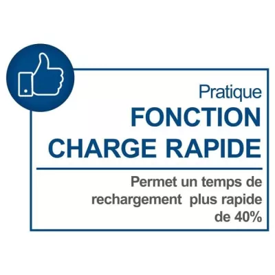 Chargeur double - SCHEPPACH - 4,5 A - SDBC4.5A - Charge simultanément