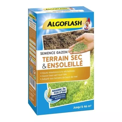 ALGOFLASH - Gazon terrain sec ensoleillé 1kg