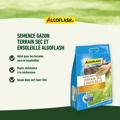 ALGOFLASH - Gazon terrain sec ensoleillé 1kg