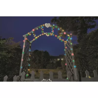 Multicolor outdoor garland 100 LEDs SMART GARDEN