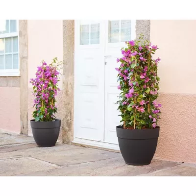 Pot de fleur moderne - Capri Campana 30cm anthracite