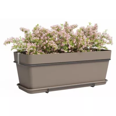 Jardinière Rectangulaire Taupe - Idéale pour Votre Jardin!