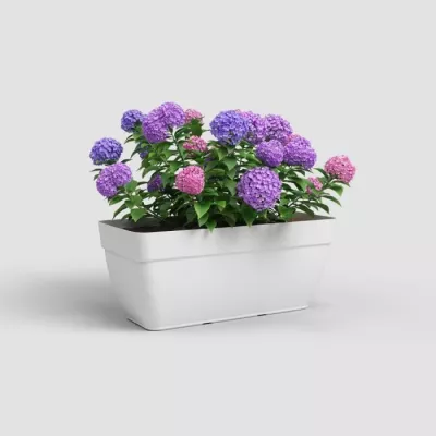 Jardinière CAPRI CAMPANA XL - Plastique blanc 80 cm - ARTEVASI