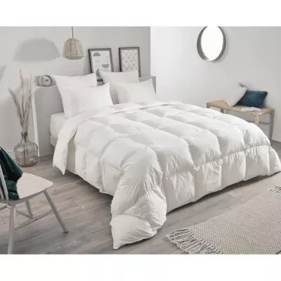 Oreiller TOISON D'OR Daisy en plumette et duvet 50x70cm - Blanc