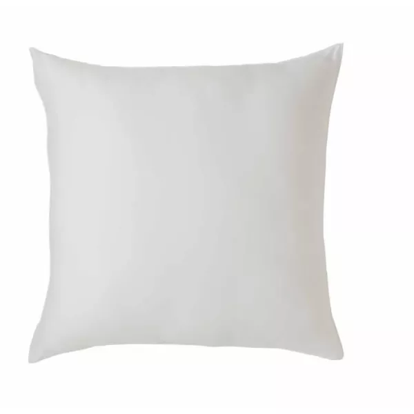 TOISON D'OR - Oreiller - Eole - Confort souple - 60x60cm - Blanc