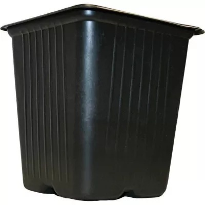 VILMORIN 15 square plastic buckets - 9 cm