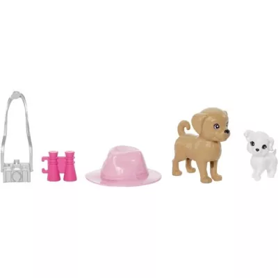 Barbie-Coffret Poupées Stacie et Barbie avec 2 chiots et accessoires