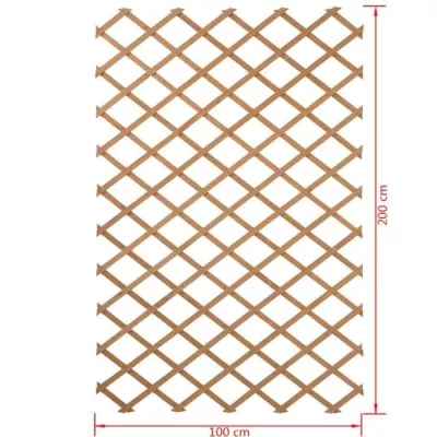 Nature Garden Fence 100 x 200 cm: Natural Wood Trellis