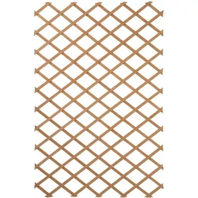 Extendable Natural Wood Trellis - 100x300cm Brown