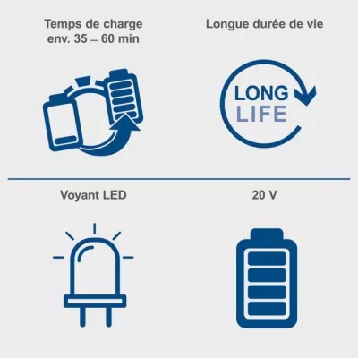 Batterie Li-ion 20V 2Ah - 20V IXES SCHEPPACH SBP2.0 - Batterie univers